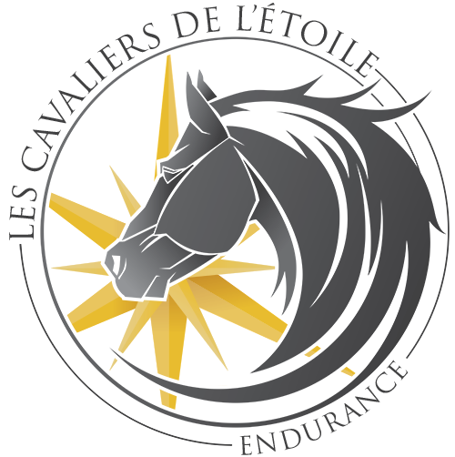 Les Cavaliers de l'Étoile